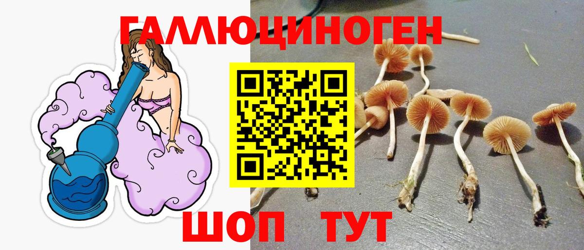 Сегежа  где купить   Вход с VPN  Псилоцибиновые грибы GOLDEN TEACHER  Галлюциногенные грибы GOLDEN TEACHER 